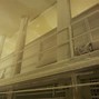 Image result for Cryogenic IQF Freezer