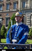 Image result for Buckingham Palace with Guards