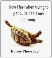 Image result for Thursday Funny Sayings Quote