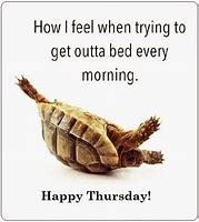 Image result for Funny Animal Thursday Quotes