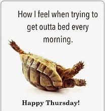 Image result for Humorous Thursday Thoughts for Day