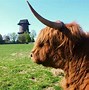 Image result for Farm with Animals Near Me