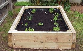 Image result for Planting a Vegetable Garden in Planter Boxes