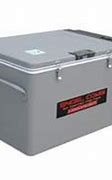 Image result for Portable Freezers for Camping