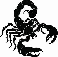 Image result for Scorpion Clip Art Stock Illustrations