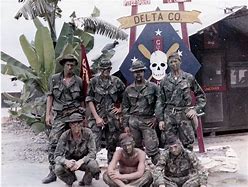 Image result for Marine Corps Vietnam War