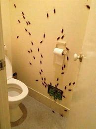 Image result for Weirdest Toilets