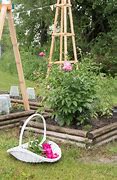 Image result for Peonies in Raised Beds