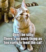 Image result for Cool Funny Quotes Cute