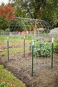 Image result for DIY Grow through Plant Supports