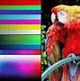 Image result for Pixel Art Color Palette