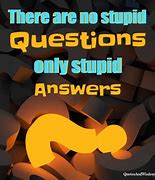 Image result for No Stupid Questions