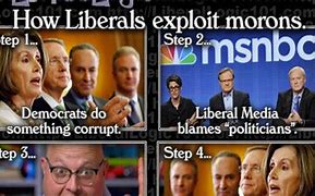 Image result for low information voters