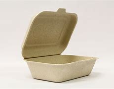 Image result for Biodegradable Food Containers