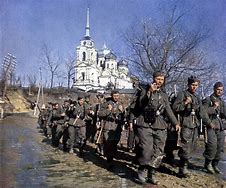 Image result for German Army WW2 Color