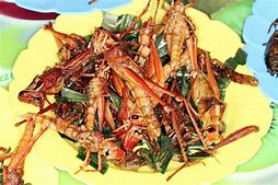 Image result for eating locusts as food