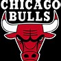 Image result for Chicago Basketball Team Logos