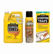 Image result for Scorpion Killer