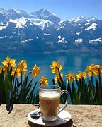 Image result for Bright Day Coffee