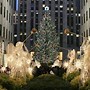 Image result for Times Square Christmas Tree