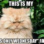 Image result for Wednesday Quotes Funny Coffee