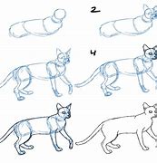 Image result for How Do You Draw a Cat