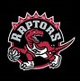 Image result for Basketball PFP Toronto Raptors