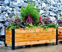 Image result for wooden raised planters box