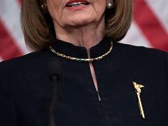 Image result for Nancy Pelosi Dragon Pin On Lapel