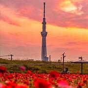 Image result for TOKYO SKYTREE Night