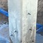 Image result for 1001Ie Concrete Crack Injection Epoxy Quick Curing 16.5 Oz, From Concrete Repair Items