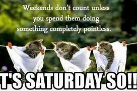 Image result for Funny Saturday Wishes