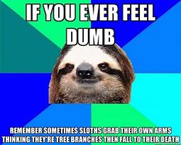 Image result for Funny Memes to Make Someone Laugh