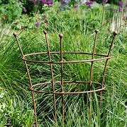Image result for garden plant support rings