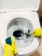 Image result for How to Unblock a Toilet