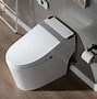 Image result for dual flush toilets