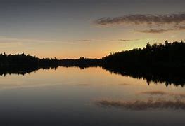 Image result for Finland State Forest