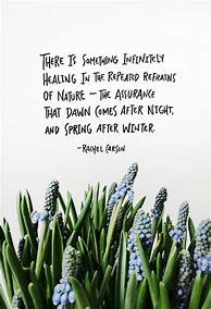 Image result for Spring Images Thought for the Day