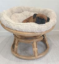 Image result for Small Papasan Chair