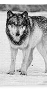 Image result for Snow Wolf Zipped Hoodies