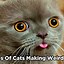 Image result for Weird Cute