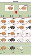 Image result for Animals in German