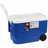 Image result for Portable Beer Coolers