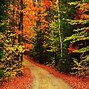 Image result for Free Downloadable Fall Wallpaper for Kindle Fire