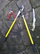 Image result for Tree Trimming Tools