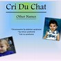 Image result for CRI Du Chat Visuals