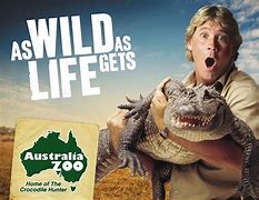 Image result for Crocodile Hunter Zoo Australia