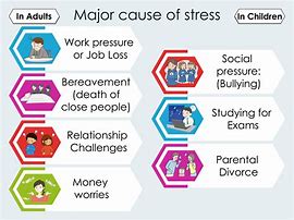 Image result for Causes of Stress