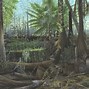 Image result for Carboniferous Rainforest