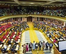 Image result for South Africa Parliament Fight